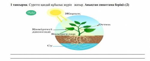 Суретте кандай кубылыс жүріп тур аныктап сипаттама берениз сор​