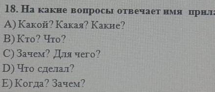 На какие вопросы отвечает имя прилагательное А какой Какая Какие кто что зачем Для чего д что сделал