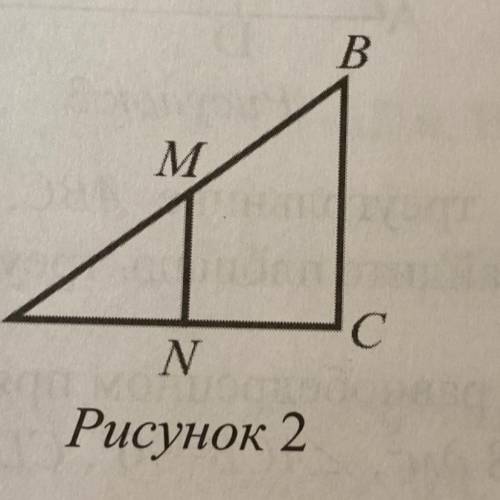 В треугольнике ABC, угол С=90 градусов, АМ=МB, MN перпендикулярно AC, МN=6 см, AC=16 см. Найдите пло