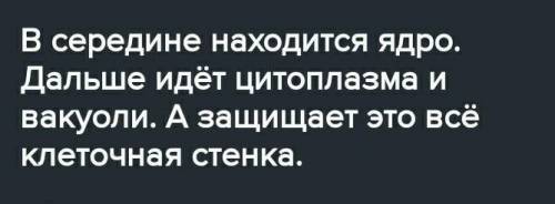 Изучив материал из учебника нарисуйте схему строения ствола хвойного дерево. подпишите его части ​