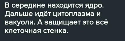 Изучив материал из учебника нарисуйте схему строения ствола хвойного дерево. подпишите его части ​