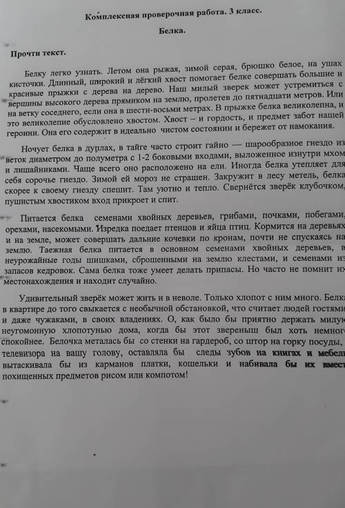 Белка. Прочти текст.Белку легко узнать. Летом она рыжая, зимой серая, брошко белое, на ушахкисточки.