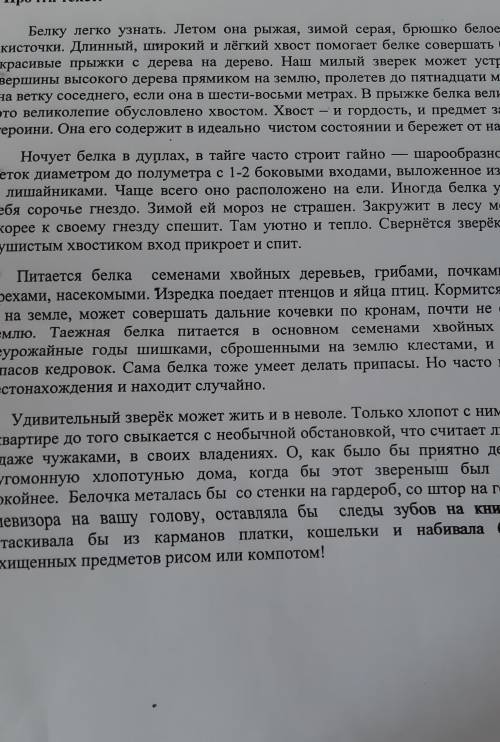 Белка. Данный текст является а)художественным, б)научный в)научно-популярным.Белку легко узнать. Лет