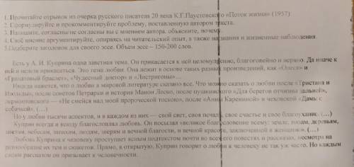 плз, нужно написать эссе, вся информация на фото, за ответ