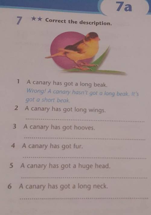 7 ** Correct the description.dd1 A canary has got a long beak.Wrong! A canary hasn't got a long beak