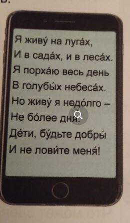 Что ты узнал из писем, репортажей, сообщение из сотового телефона?