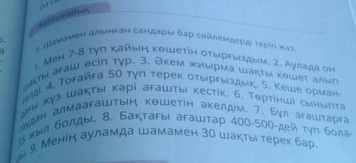 S мен түп қайың кешетін отырғыздым. 2. Аулада онNarauесіп тұр. Әкем жиырма шақты көшет алыпTorana 50