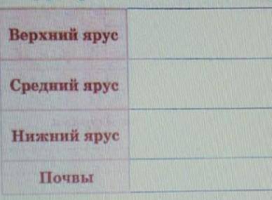 Охарактеризуйте ярусы растительности во влажных экваториальных лесах. ​