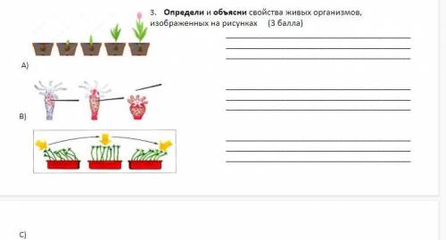 Определи, схема какого химического процесса изображена. Дополни схему продуктами выделения, образующ