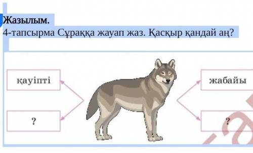 Жазылым.4-тапсырма Сұраққа жауап жаз. Қасқыр қандай аң?​