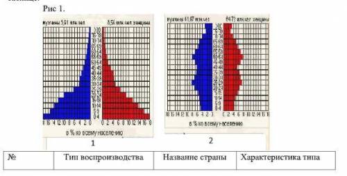 Установите соответствие между половозрастной пирамидой (рис 1), типом воспроизводства населения и на