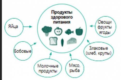 Прочитайте схему “Продукты здорового питания”. Напишите, включаются ли эти продукты в Азбуку здорово