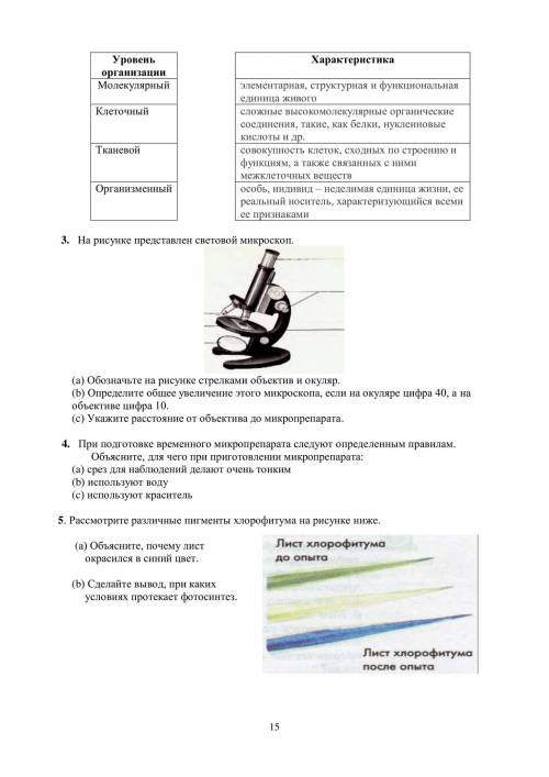 Обьясните почему лист окрасился в синий естествознание 5 класс