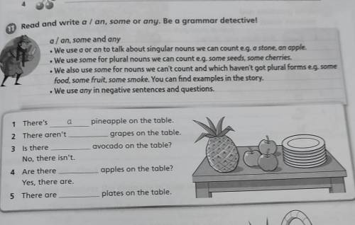 Read and write a/ an, some or any. Be a grammar detective! a/ an, some and any • We use a or an to t