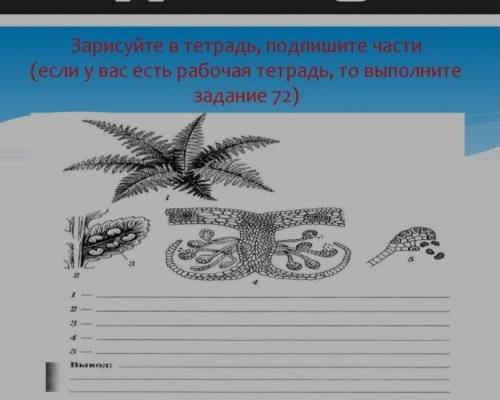 Не надо рисовать только подписать и всё и вывод.​