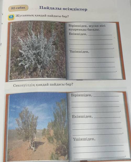 Жусанның қандай пайдасы бар? Сексеуілдің қандай пайдасы бар? только правильно нужно)​