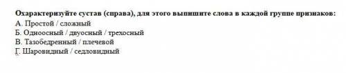 Нужны знающие биологию люди! Пишите только верный вариант! Дайте характеристику суставу по форме(люб