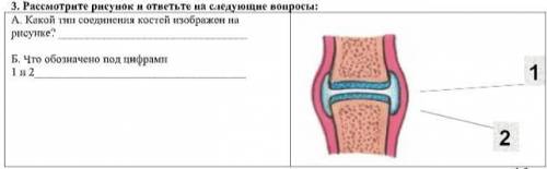 Рассмотрите рисунок и ответьте на следующие вопросы