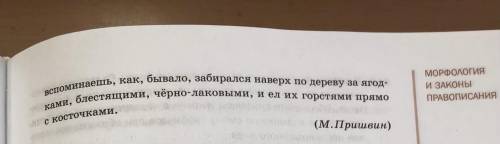 Из данного текста выпишите глагольные формы и произведите их морфологический разбор