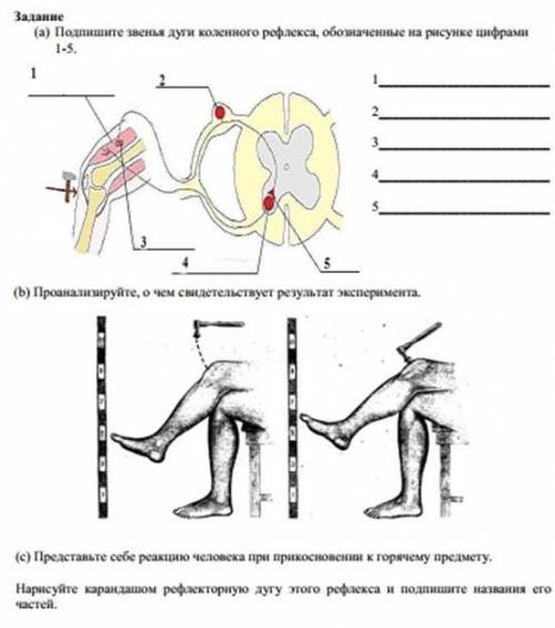 УОП УОП ПОЖИЛИ И ХВАТИТ , УОП УОП ​