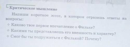 (это русская литература)Стр 57, написать эссе​