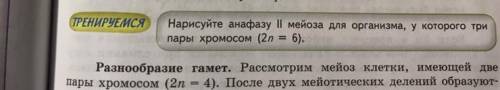 с заданием «тренируемся» Завтра надо сдать не могу разобраться,если можете объясните,нарисуйте