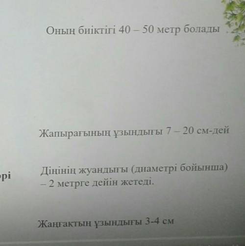 1 картинка через это надо делать вопросы Вопросы 1.Емен ағашы қанша жыл өседі? 2.Емен ағашының биікт