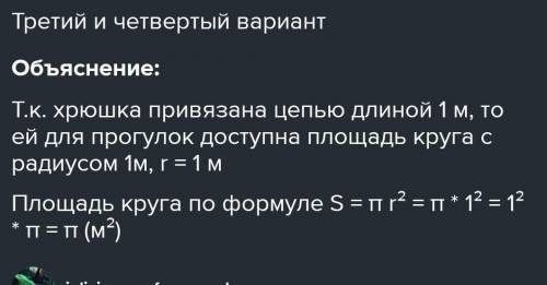 Свинья привязана цепью длиной 3,1 м. Какая площадь доступна ей?​