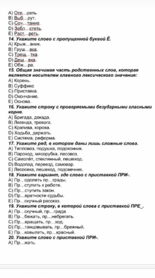 тест по русскому языку зделаю как ЛуТШий ответ по