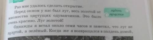 Продолжение: луг опять был весь золотой. Я стал наблюдать. К вечеру луг опять позеленел. Я приглядел