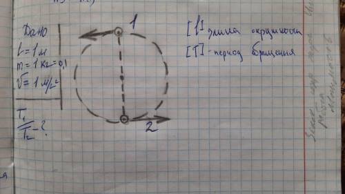 По окружности движутся 2 тела Найти отношение T1/Т2, зная L=1м,m=1кг и v=1м/с²