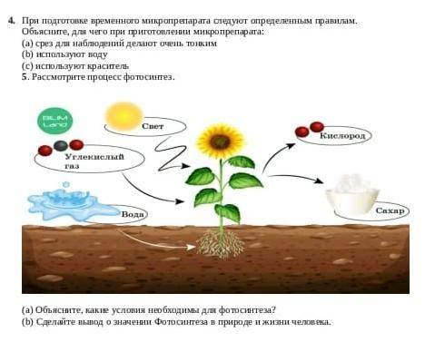 все это а ой это не матем я случайно поставила что эти матем​