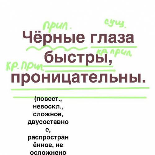 Синтаксический разбор предложения. Чёрные глаза быстры, проницательны.