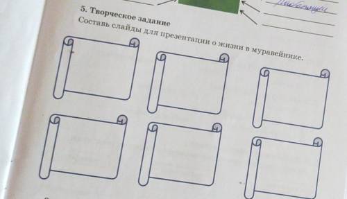 Творческое задание Составьте слайды для презентации жизни в муравейнике​