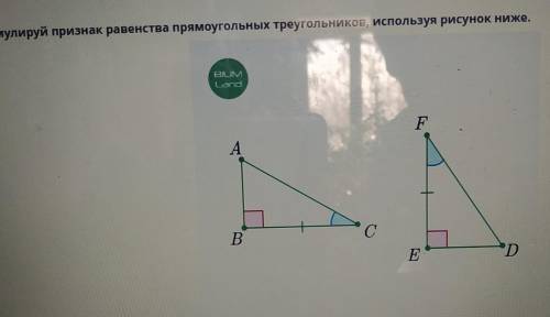 Сформулируй признак равенства прямоугольных треугольников,используя рисунок​