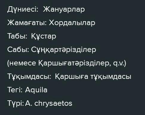 13. Кестеде берілген ақпаратты пайдаланып, бүркіт туралы мәтін курап жаз.Мекендейтін жері қай жергеY