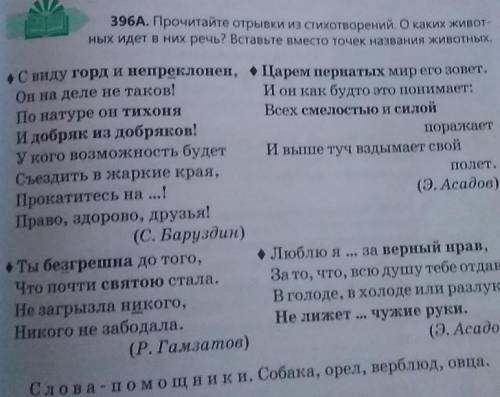 Прочитайте внимательно текст. Ты не бросай в собаку камень,Пусть это лишь бездомный пес,Но он и так