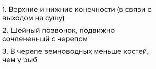 розгляньте скелет жаби. знайдіть скелет голови, скелет тулуба. парні кінцівки та їхні пояси. які гол