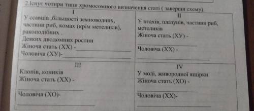 Існує чотири типи хромосомного визначення статі (заверши схему)