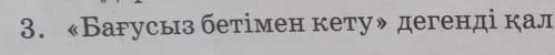 3. «Бағусыз бетімен кету» дегенді қалай түсінесіңдер? Өз сөздеріңмен айтып беріңдер