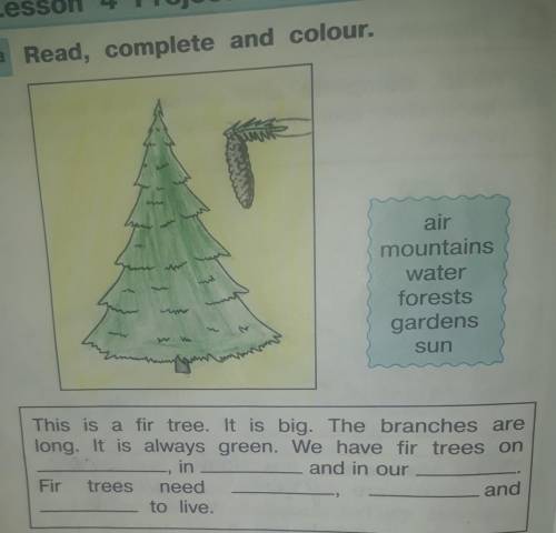 Air mountainswaterforestsgardenssunThis is a fir tree. It is big. The branches arelong. It is always