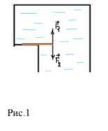 В водоеме на краю плоского выступления лежит доска массой 4 кг (рис.1). половина доски лежит на усту