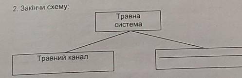 У кого є зошит з біології за 7 клас скажить будь ласка що требе дописати в схемі. (Урок35. Живлення