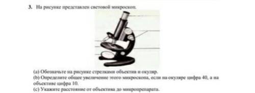 ХЕЛЛП СОР ЕСТЕСТВАЩНАНИЕ КЛАССС