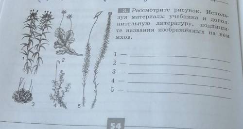 С 1нительнуюте названия изображённых на неMхов.122.3 -43453. Рассмотрите рисунок. Исполь-зуя материа