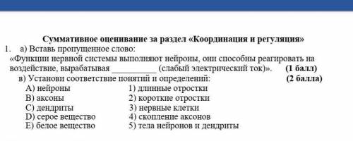 1. а) Вставь пропущенное слово: «Функции нервной системы выполняют нейроны, они реагировать на возде