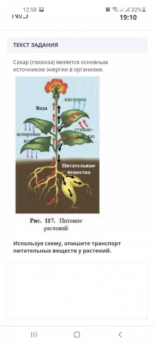 Используя схему,опишите транспорт питательных веществ у растений