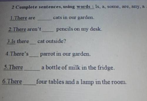 2 Complete sentences, using words : Is, a, some, are, any, a . 1. There arecats in our garden.2 Ther