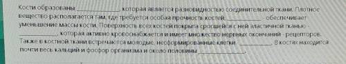 Кости образованы которая является разновидностью соединительной ткани. Плотноевещество располагается