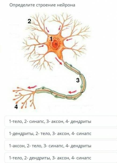 Помгите сколько у меня есть​